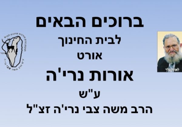 מצגת בית ספרית